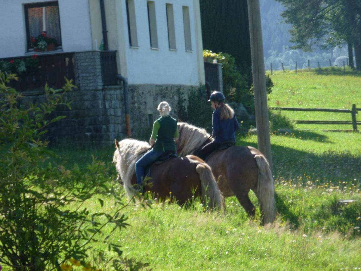 Urlaub Auf Dem Haberlhof Vila Lohberg Exterior foto