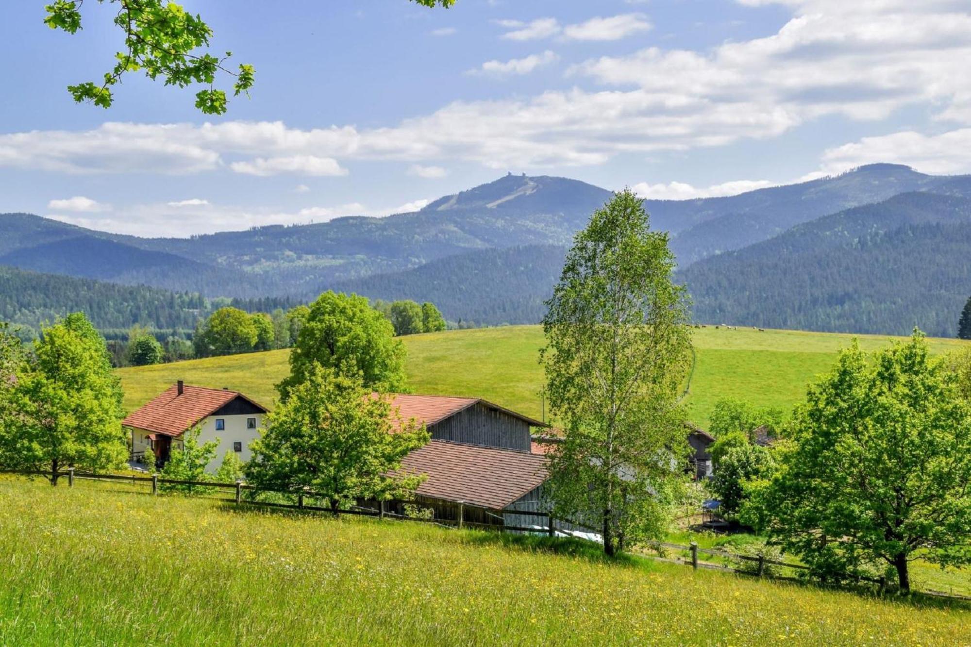 Urlaub Auf Dem Haberlhof Vila Lohberg Exterior foto